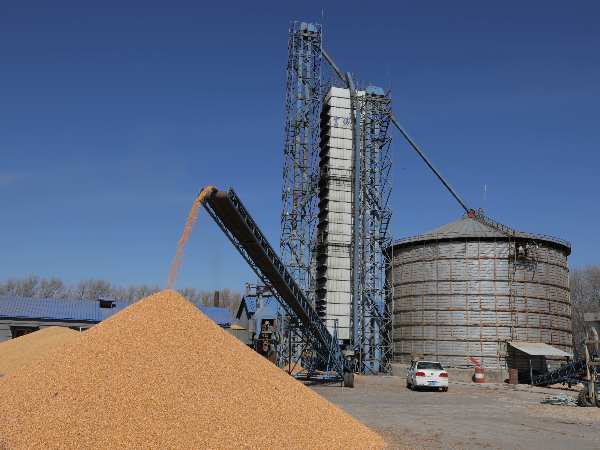 燒煤改燒秸稈大包直燃熱風爐，烘干成本省一半