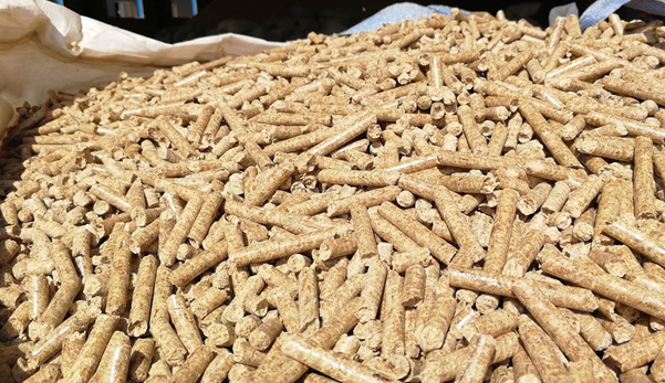 生態(tài)環(huán)境部回應(yīng)！生物質(zhì)成型燃料不是高污染燃料