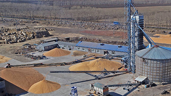 糧食烘干合作社如何做到年節(jié)省90萬元？利民萬佳鍋爐為您解析